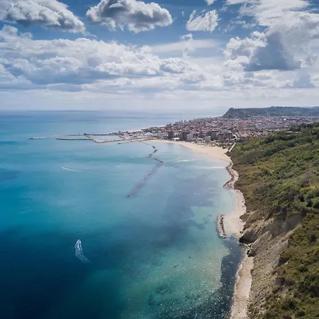 Amadei Figaro & Pesaro