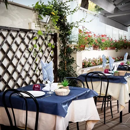 Amadei Figaro & Hotel 3*