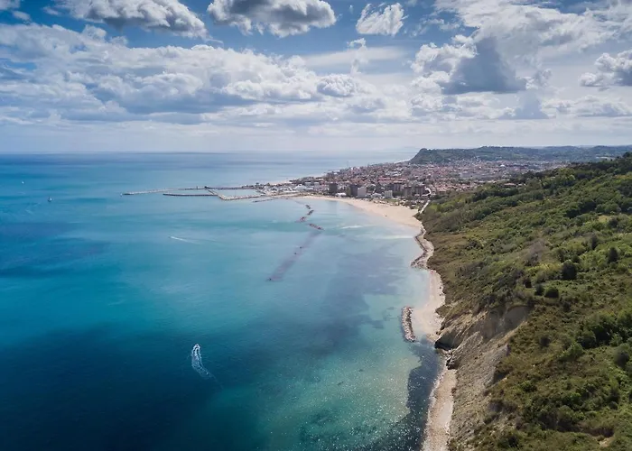 Amadei Figaro & פסארו