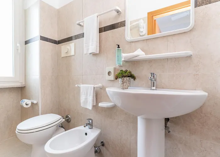 Amadei Figaro & פסארו