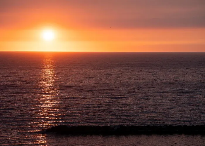 Amadei Figaro & פסארו